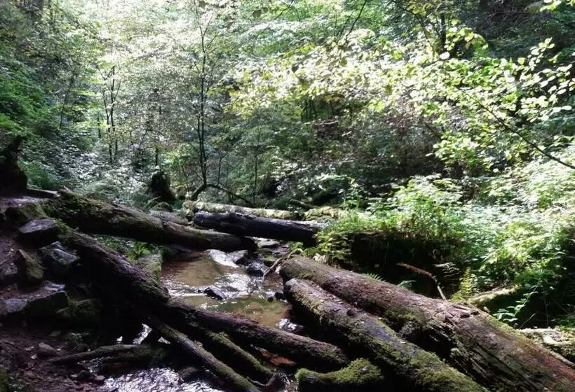 Lomakeskus Holiday Park  Scout