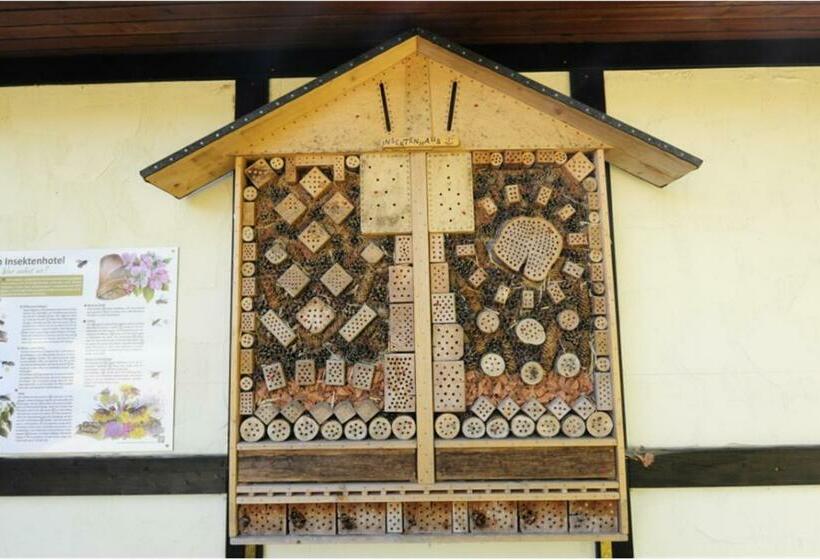 منتجع Holiday Park  Scout