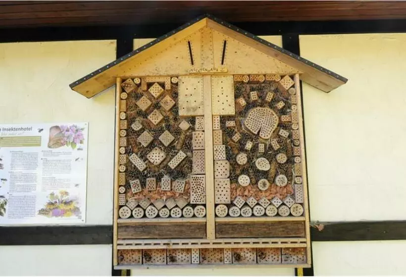 Lomakeskus Holiday Park  Scout