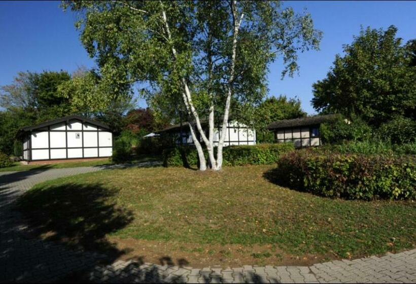 منتجع Holiday Park  Scout