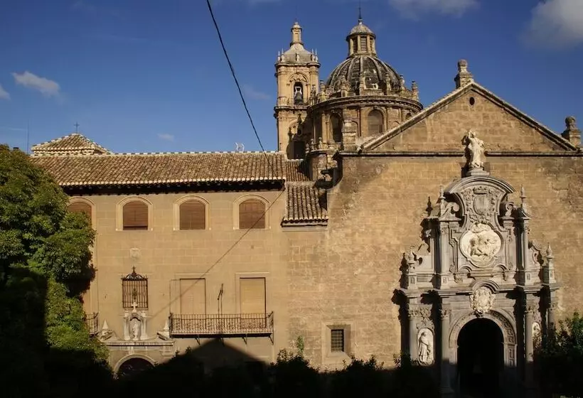 Hôtel (catégorie 1/2 *) La Perla Granada Suites