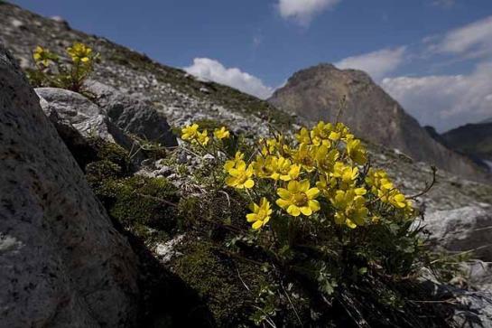 Pensjonat Alte-stube Gasthof