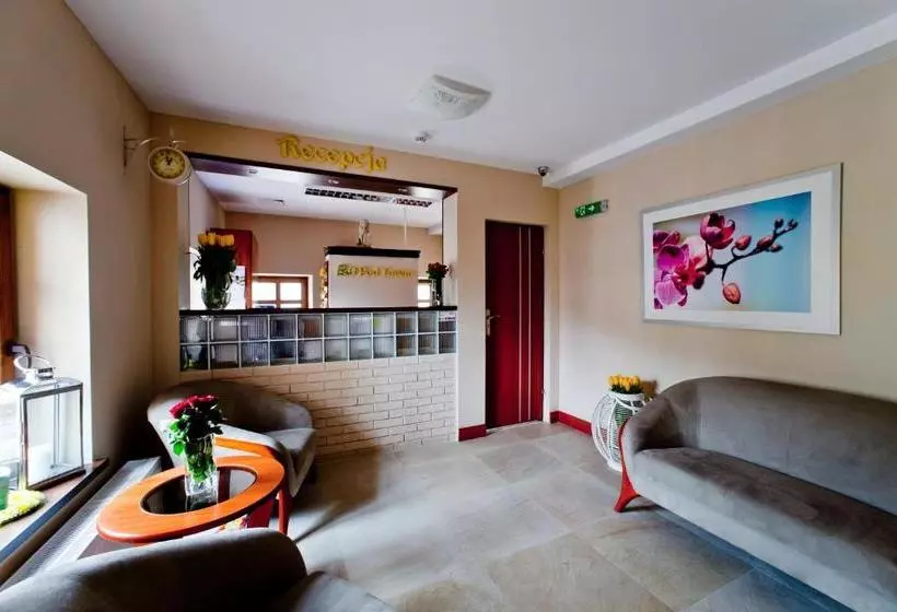 בית מלון כפרי Apartamenty Pod Lwem