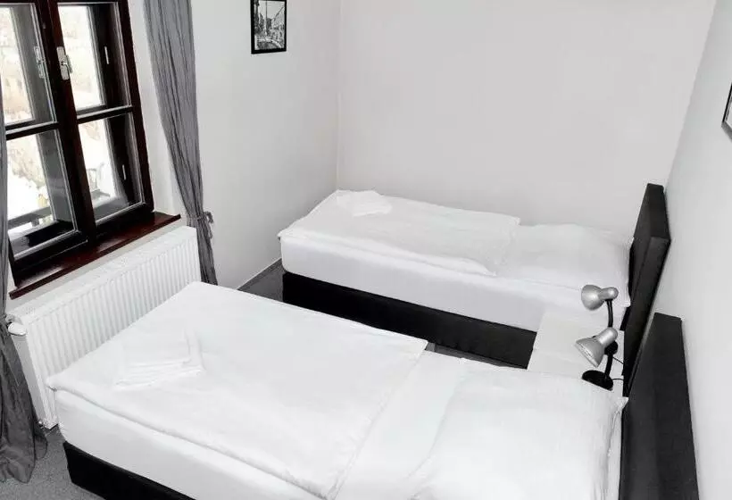 ホテル Bílý Koníček