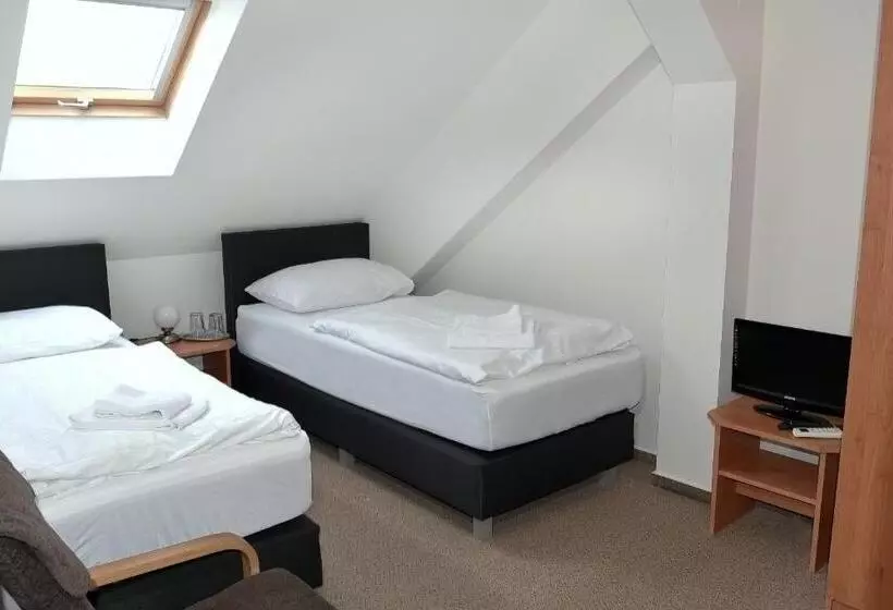 ホテル Bílý Koníček