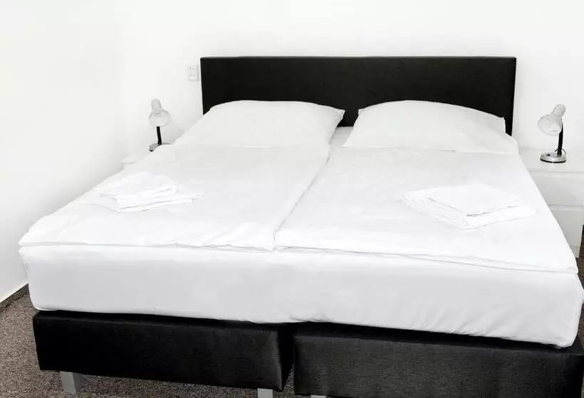 ホテル Bílý Koníček