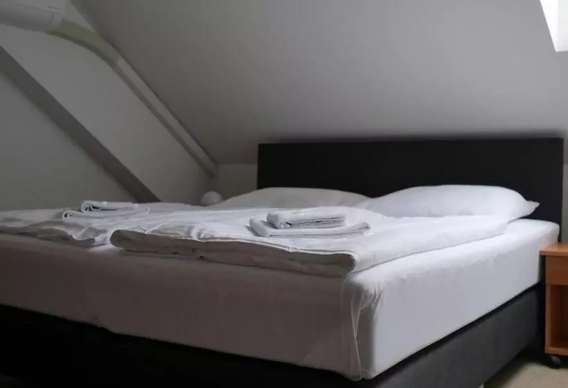 ホテル Bílý Koníček