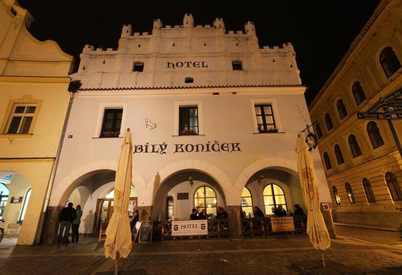 Hotel Bílý Koníček