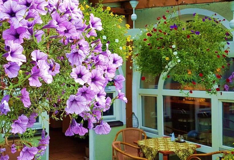 בית מלון כפרי Centrum25