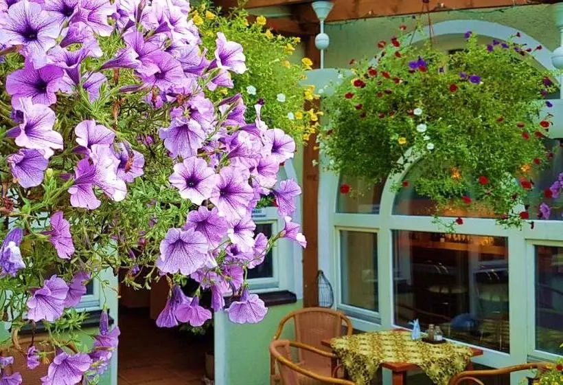 בית מלון כפרי Centrum25