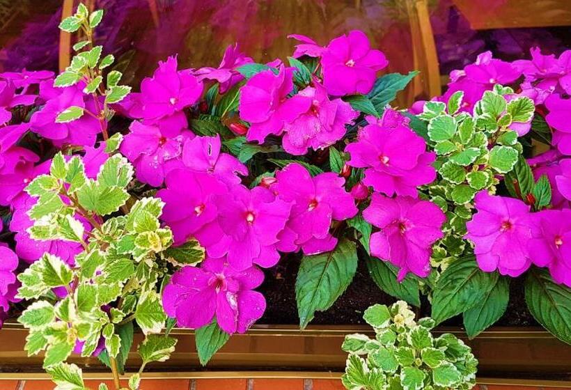 בית מלון כפרי Centrum25