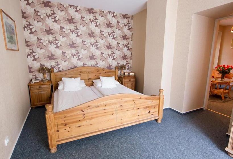 בית מלון כפרי Centrum25