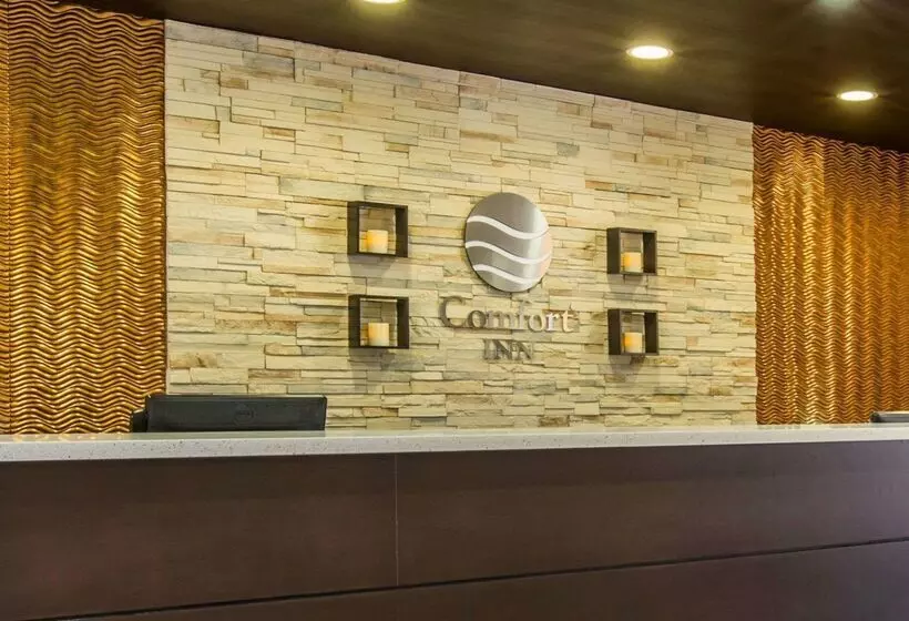 호텔 Comfort Inn Sylva  Cullowhee