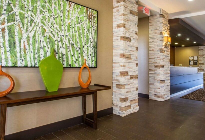 ホテル Comfort Inn Sylva  Cullowhee