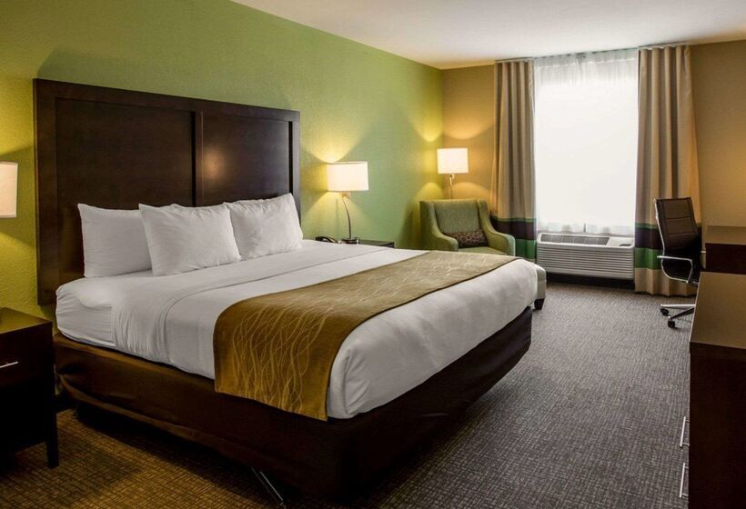 ホテル Comfort Inn Sylva  Cullowhee