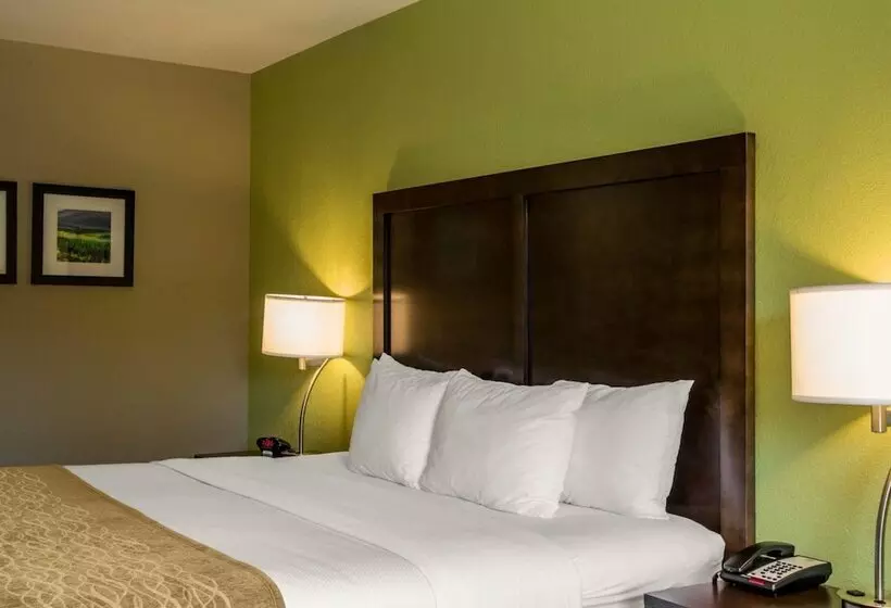 호텔 Comfort Inn Sylva  Cullowhee