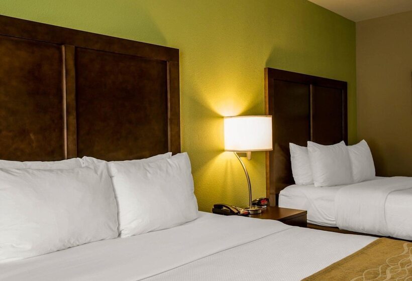 ホテル Comfort Inn Sylva  Cullowhee