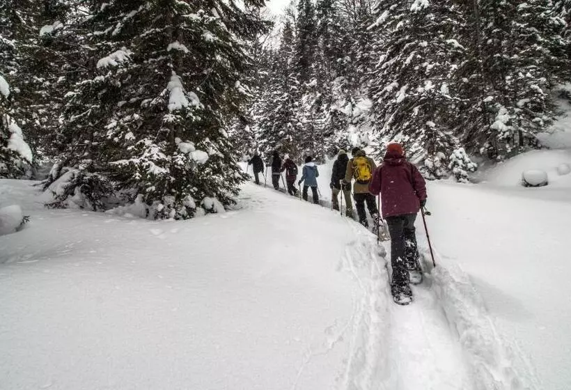 Отель Der Brandstetterhof   Adults Only