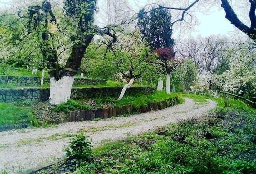 فندق Ekosamotnia Eco Dream Pension