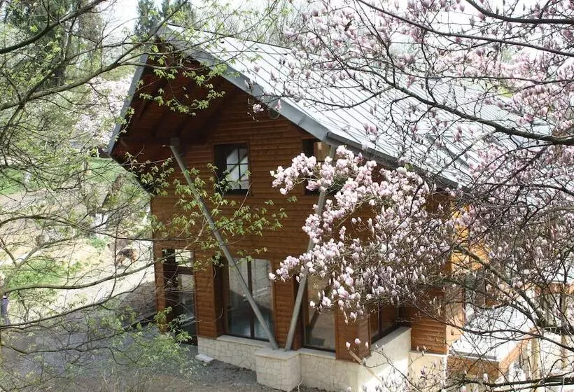 Отель Ekosamotnia Eco Dream Pension