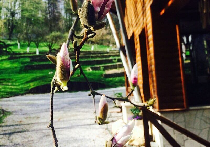 فندق Ekosamotnia Eco Dream Pension