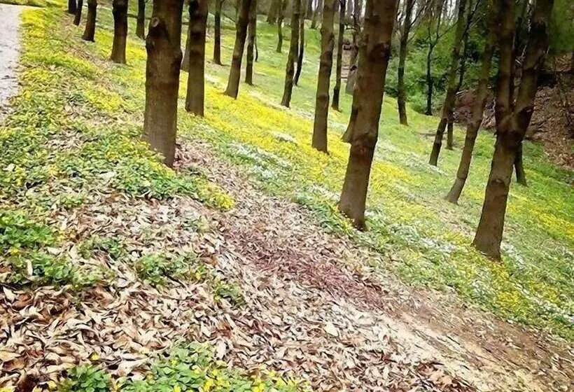 Отель Ekosamotnia Eco Dream Pension