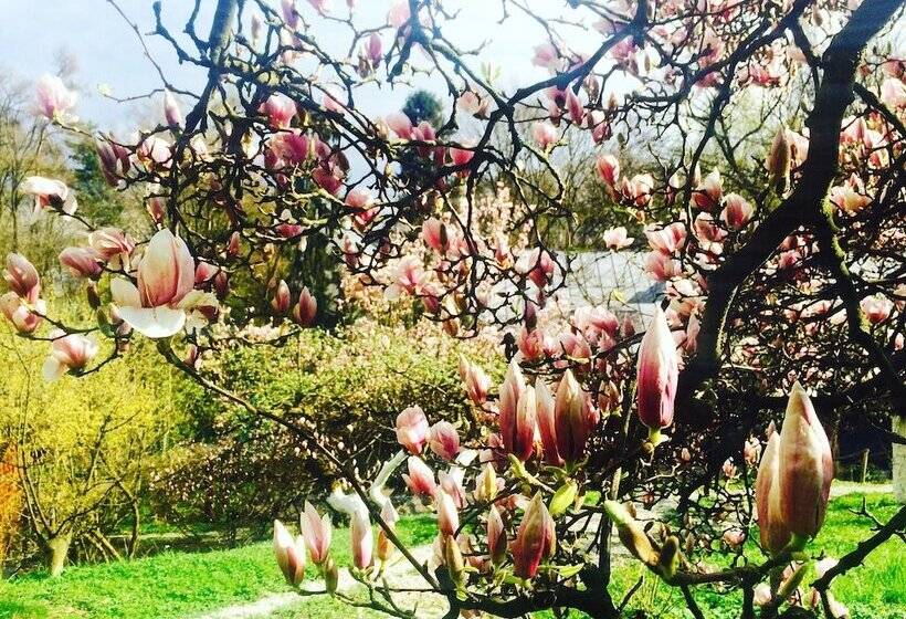 فندق Ekosamotnia Eco Dream Pension