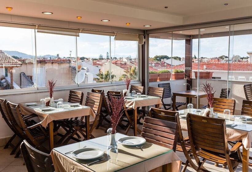 בית מלון כפרי Eleven