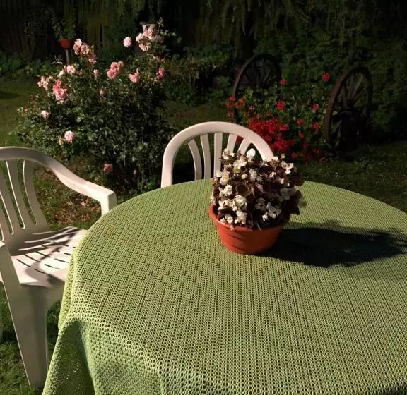 هتل Green