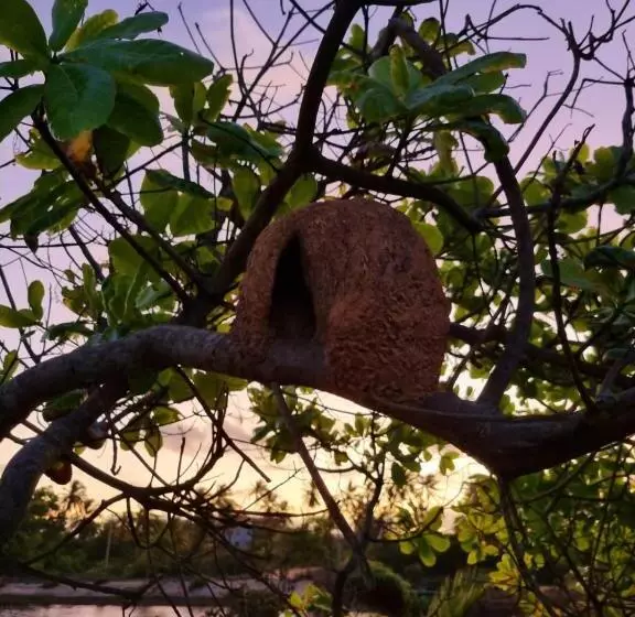 Hotel Grimms Pousada De Contos