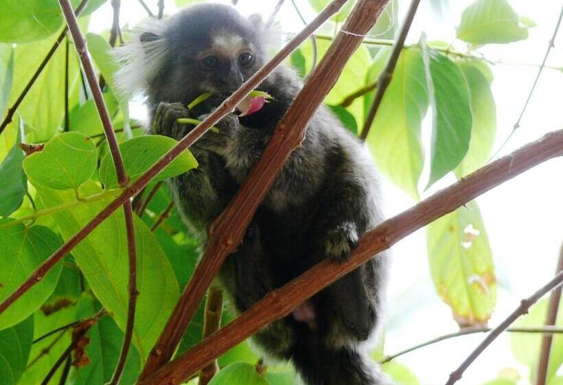 فندق Grimms Pousada De Contos