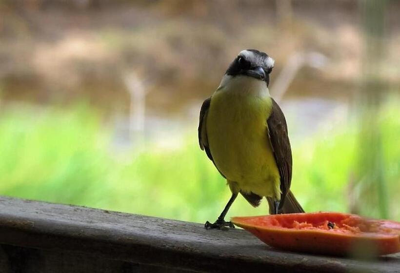 فندق Grimms Pousada De Contos