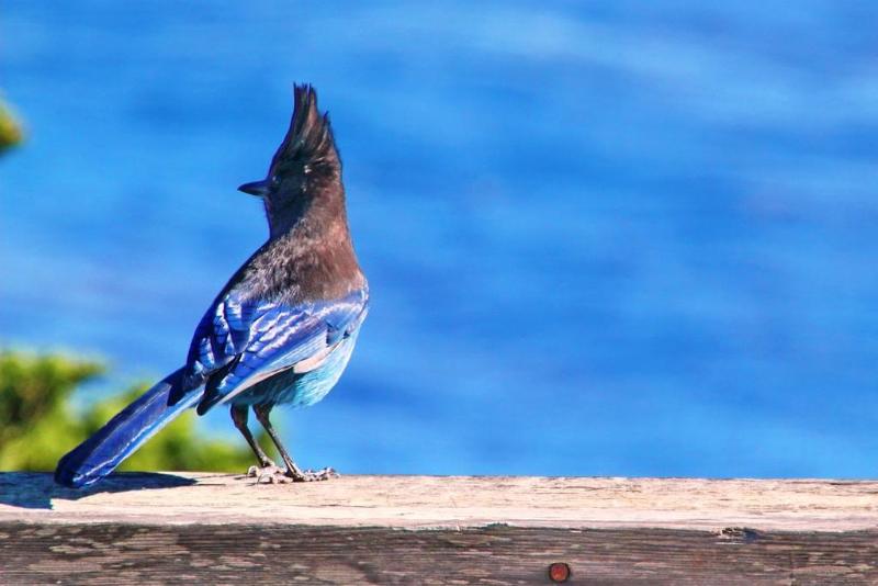 فندق Grimms Pousada De Contos