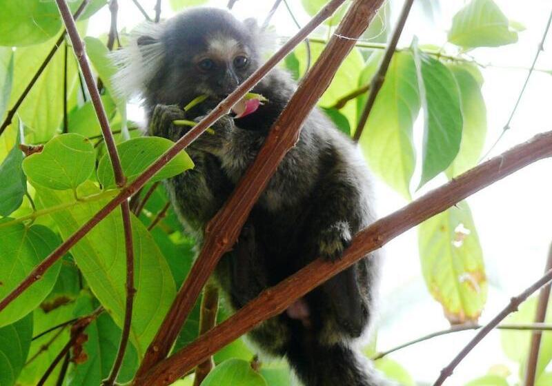 فندق Grimms Pousada De Contos