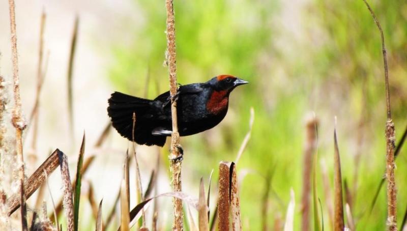 فندق Grimms Pousada De Contos