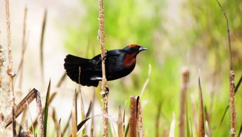 Hotel Grimms Pousada De Contos