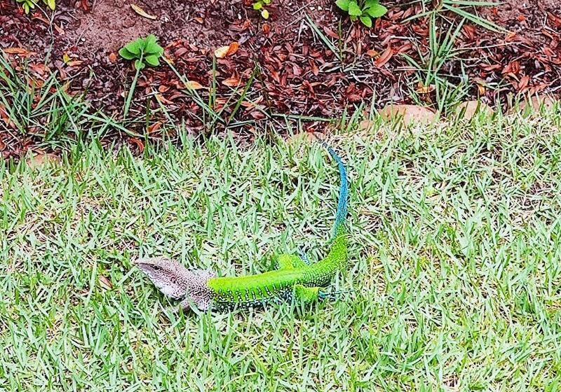 فندق Grimms Pousada De Contos