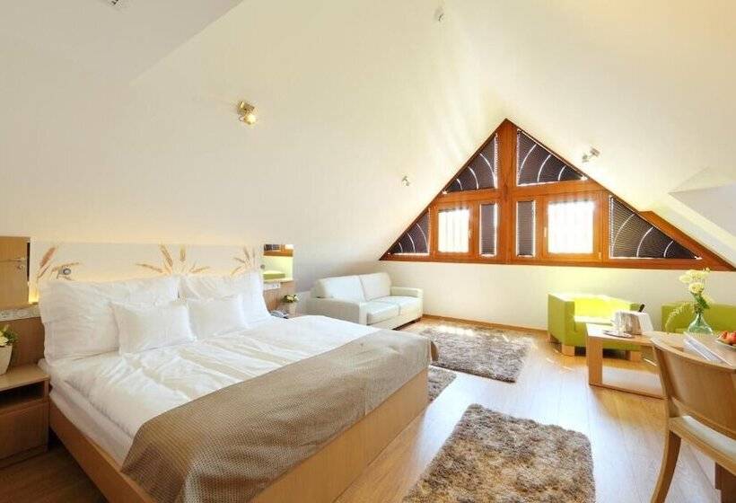 فندق Historia Malomkert