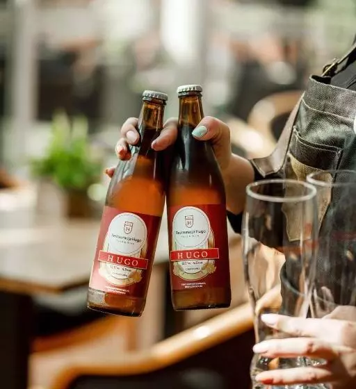 فندق Hugo Business & Spa