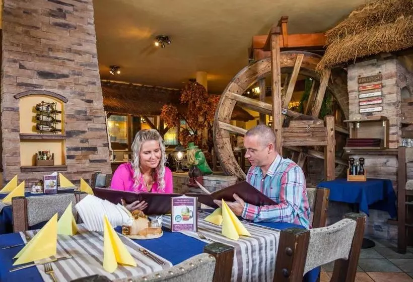 Отель Jelínkova Vila