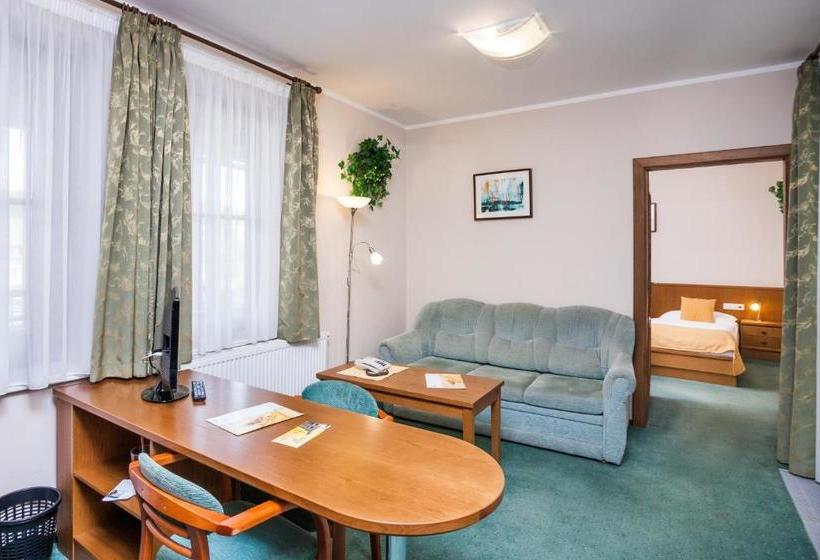 ホテル Jelínkova Vila