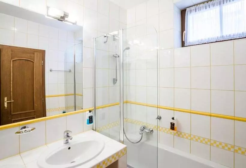 Отель Jelínkova Vila