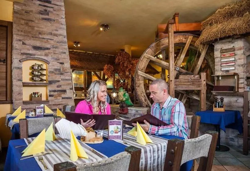 Отель Jelínkova Vila