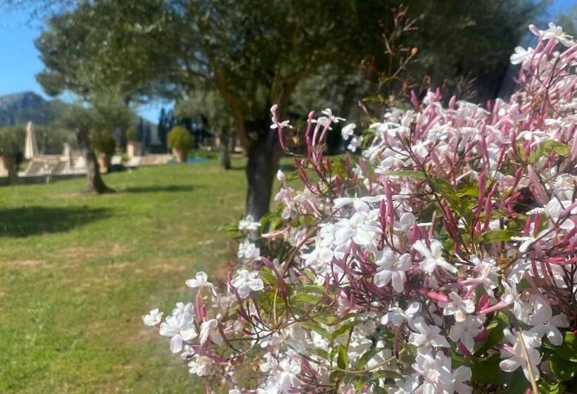 בית מלון כפרי Agroturisme Son Cardaix