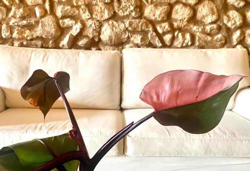 בית מלון כפרי Agroturisme Son Cardaix