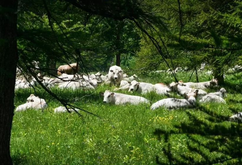 Bramé La Fam 32 Few Steps From Skiing   Happy Rentals