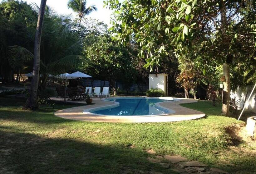 فندق صغير Pousada Araçás Village