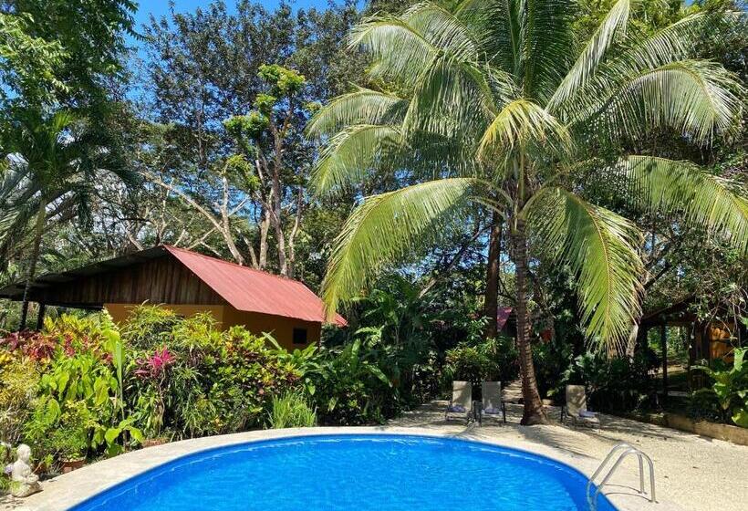 پانسیون Casa Colores