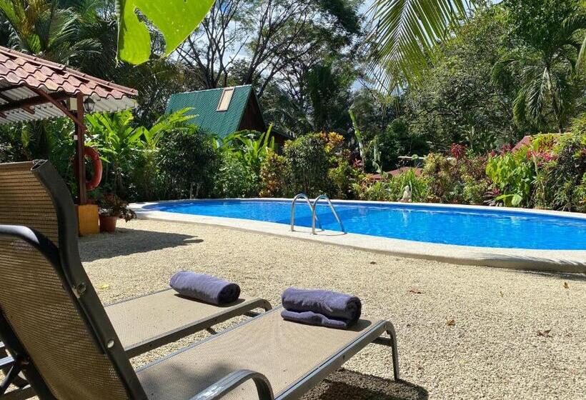 پانسیون Casa Colores