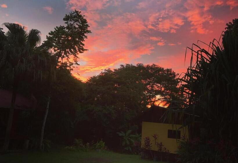 پانسیون Casa Colores